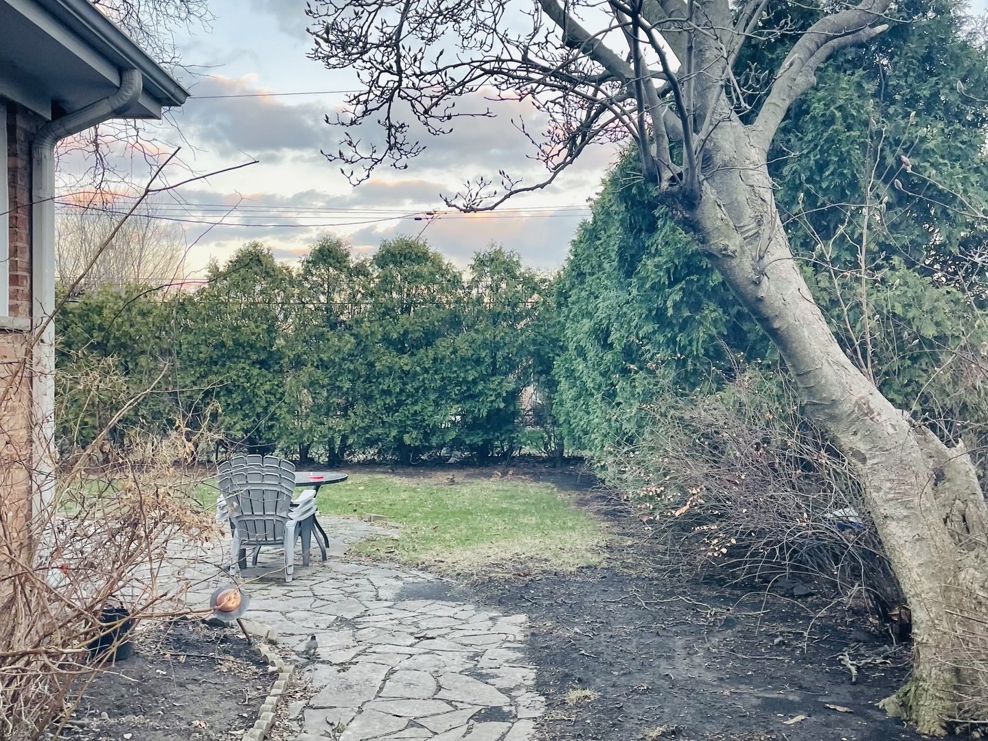 8925 Oriole Avenue, Morton Grove, IL 60053