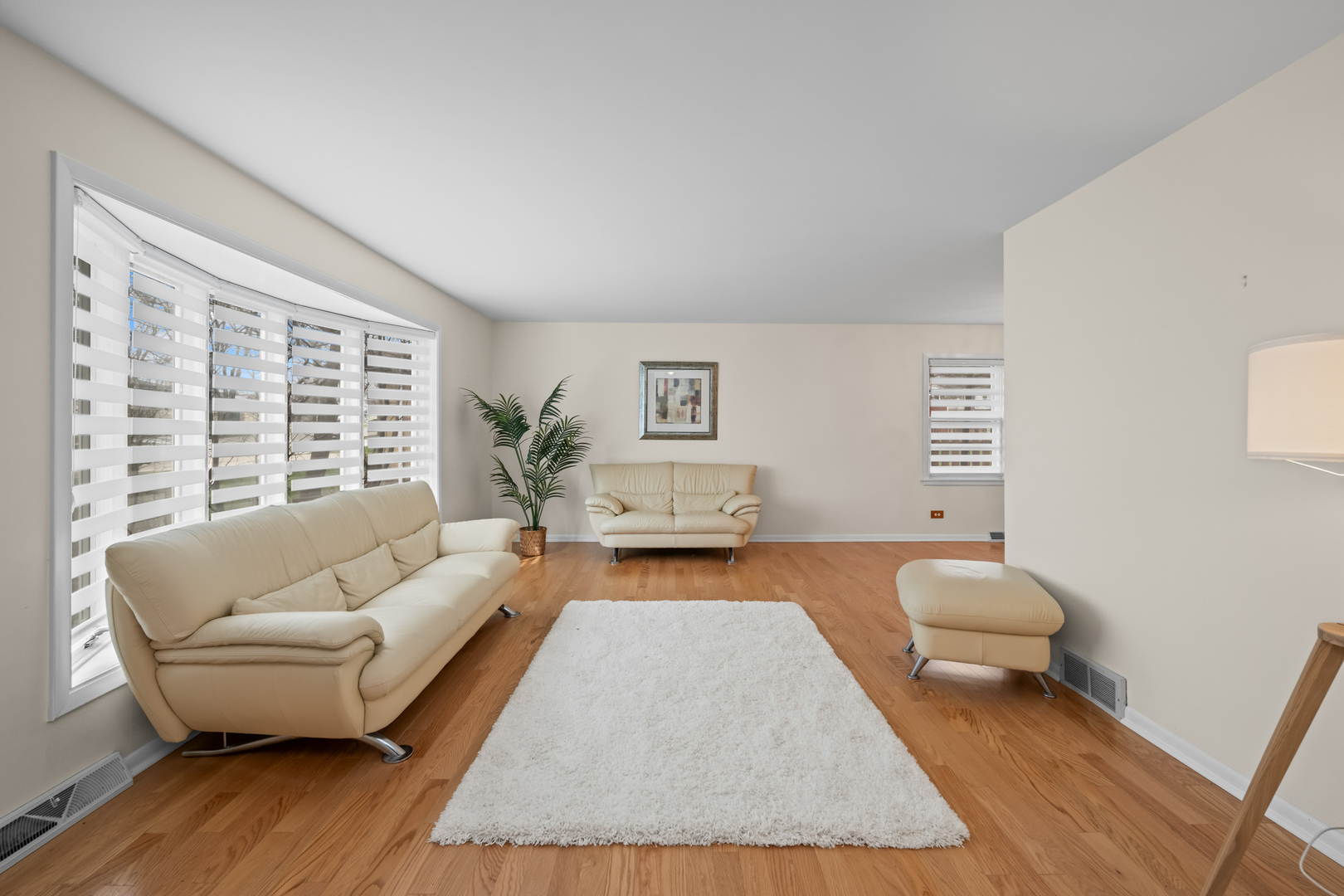 1118 Charlene Lane, Schaumburg, IL 60193