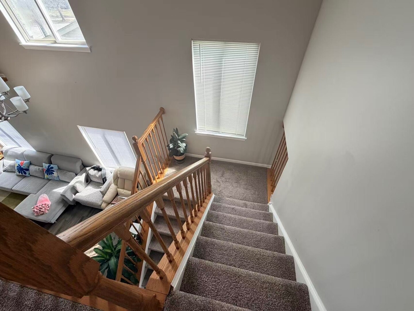 Naperville, IL 60564