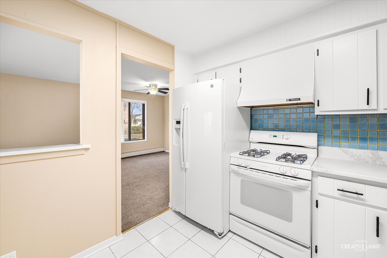 109 Gregory Street #13, Aurora, IL 60504