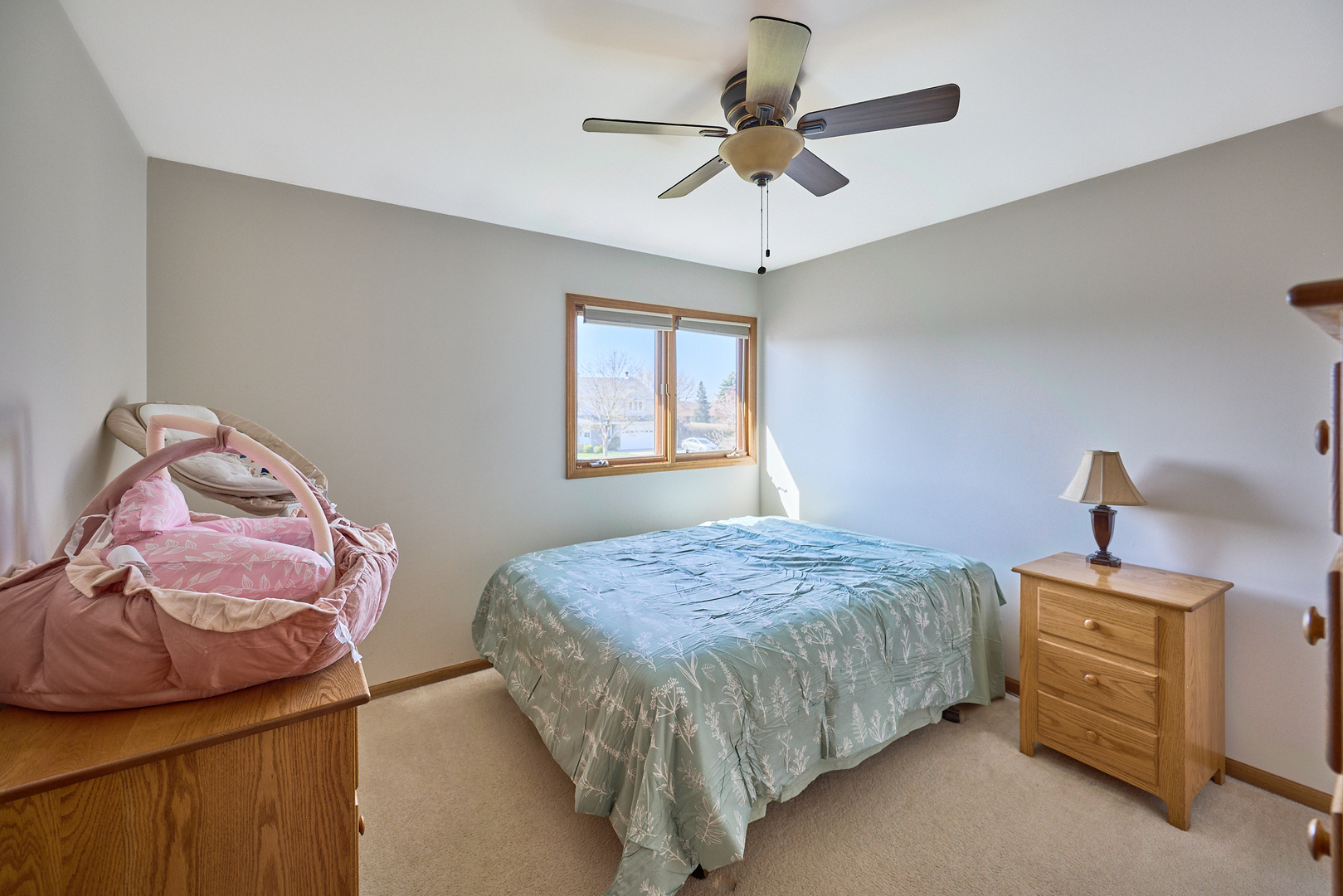 16447 Timberview Drive, Plainfield, IL 60586