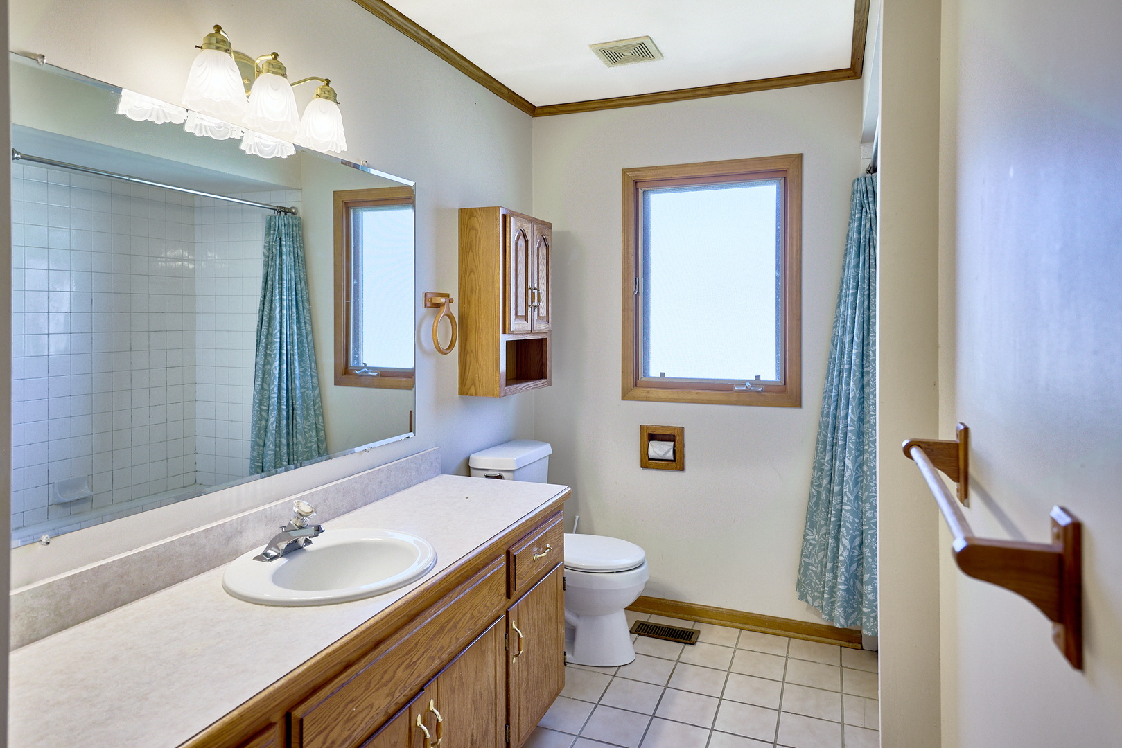 16447 Timberview Drive, Plainfield, IL 60586