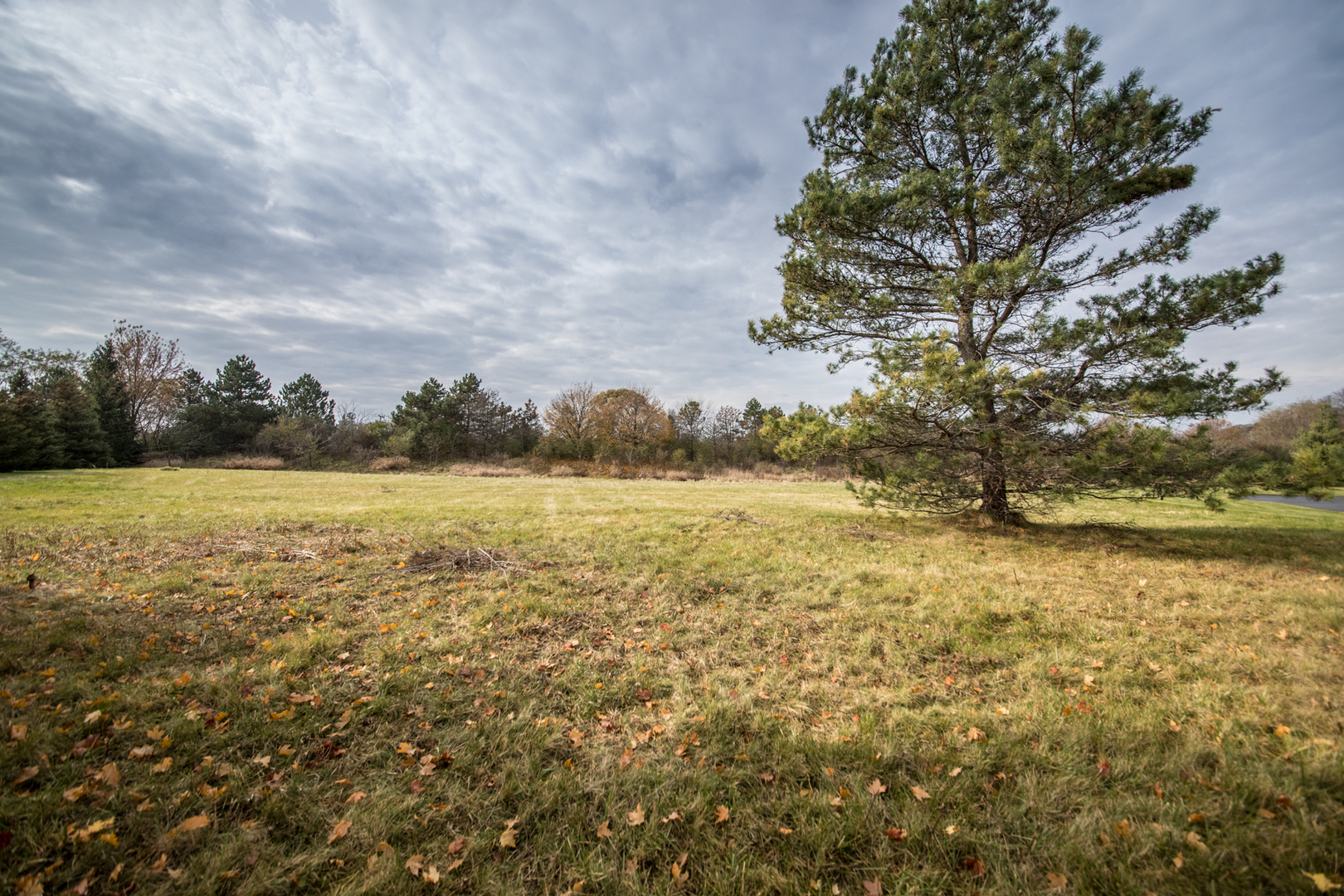 21601 W Hampshire Place, Mundelein, IL 60060