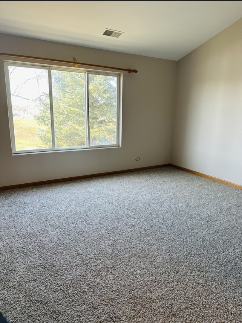 709 Blossom Court #709, Naperville, IL 60540