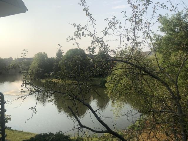 905 CASEY Court #6, Schaumburg, IL 60173