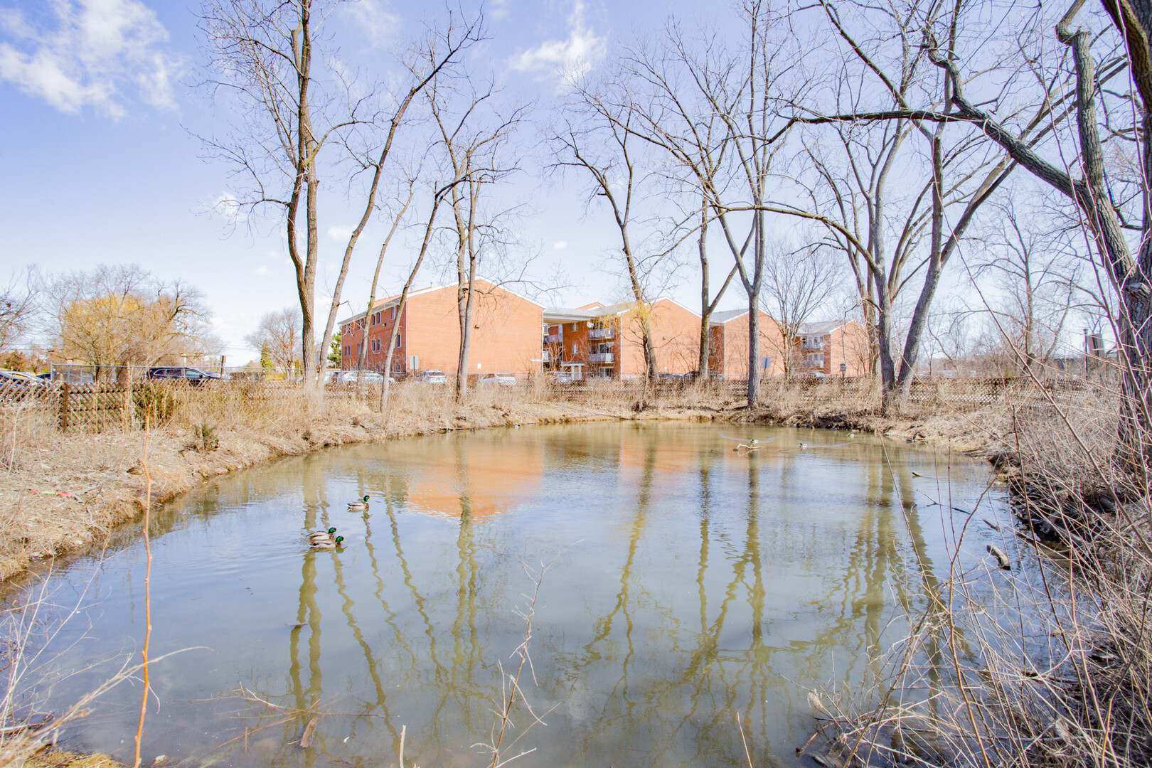 Des Plaines, IL 60016