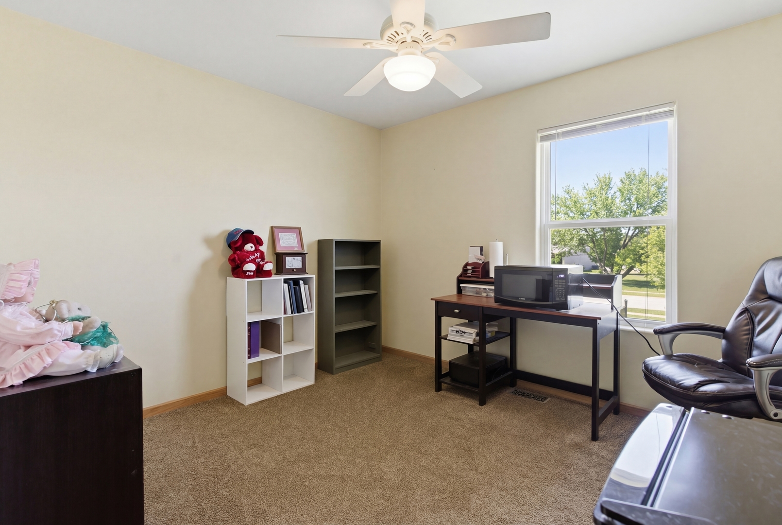 5411 Meadowbrook Street, Plainfield, IL 60586