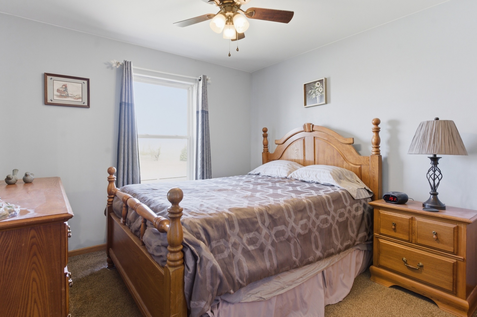 5411 Meadowbrook Street, Plainfield, IL 60586