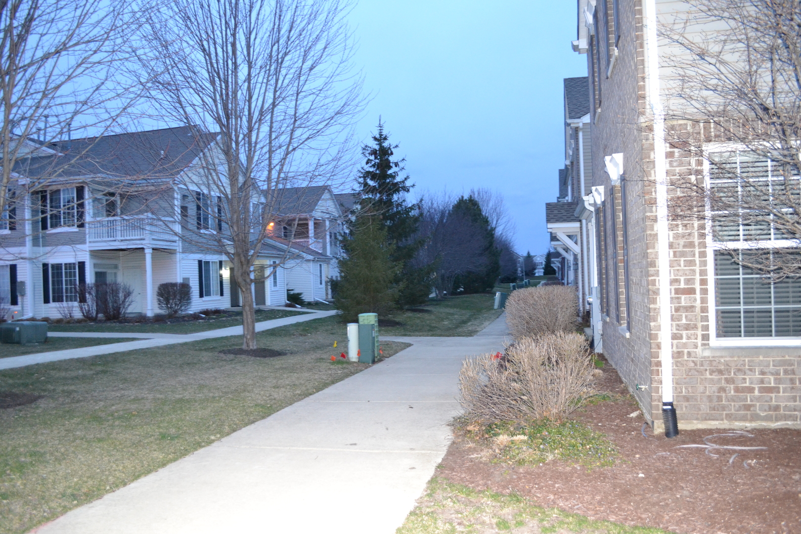 161 Springbrook Trail, Oswego, IL 60543