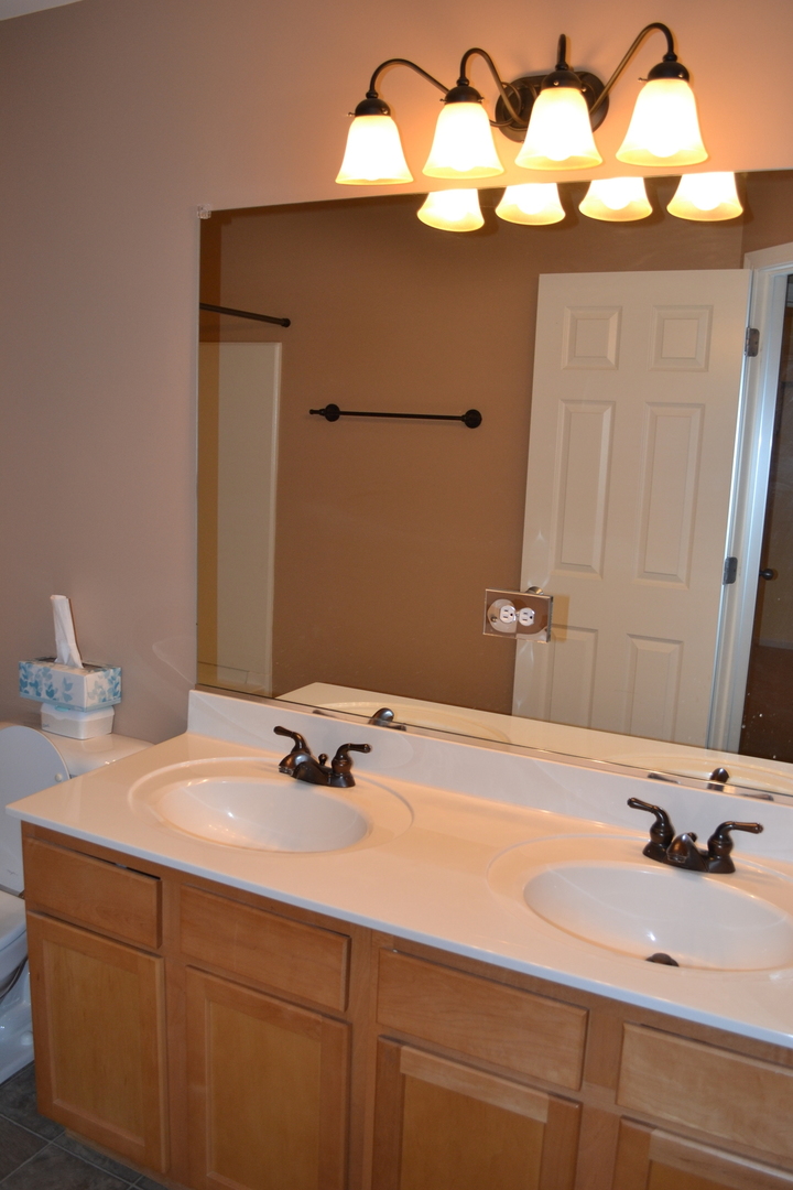 161 Springbrook Trail, Oswego, IL 60543