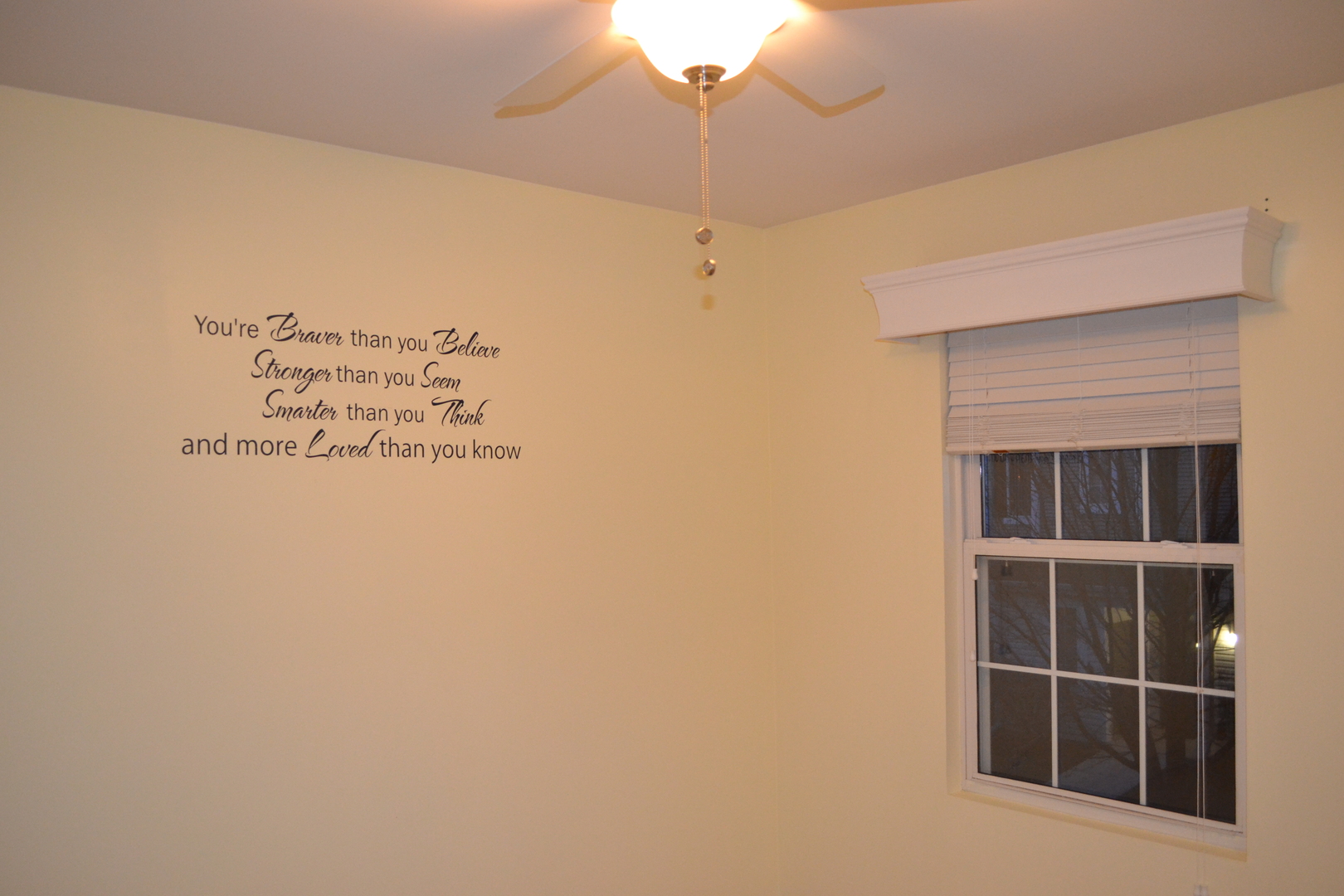 161 Springbrook Trail, Oswego, IL 60543