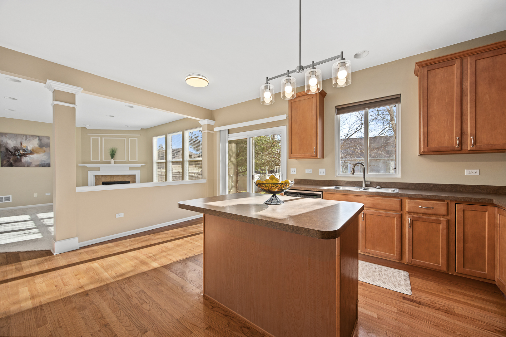 6 CATALPA Court, Bolingbrook, IL 60490