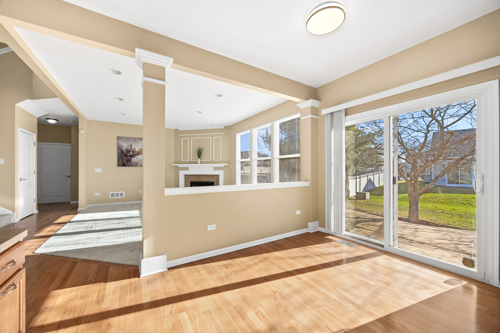 6 CATALPA Court, Bolingbrook, IL 60490