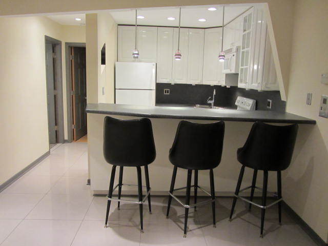 7610 W Grand Avenue #3D, Elmwood Park, IL 60707