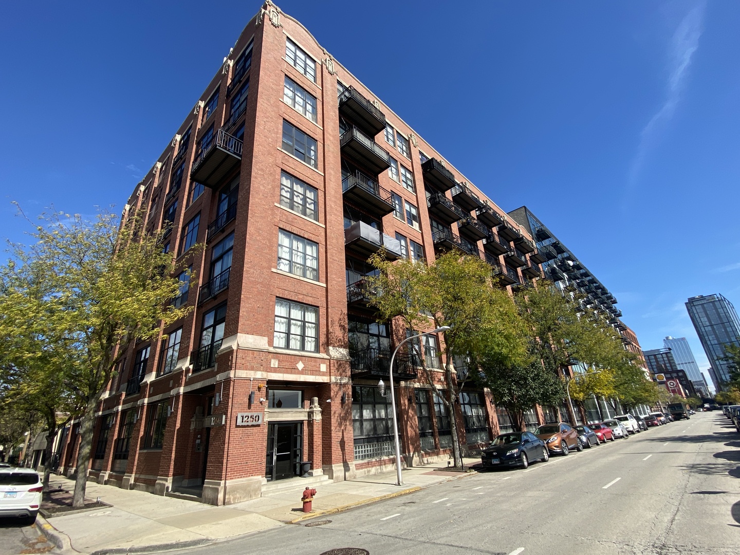1250 W Van Buren Street #208, Chicago, IL 60607
