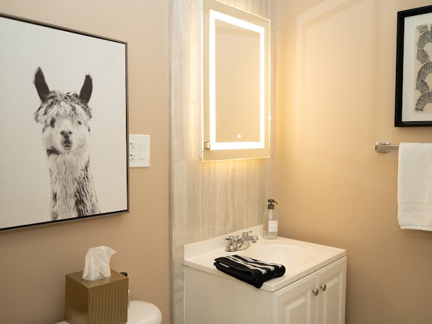 1056 N Mill Street #304, Naperville, IL 60563