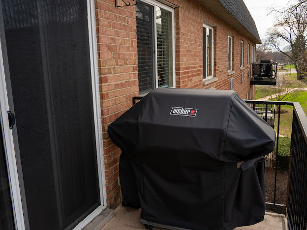 1056 N Mill Street #304, Naperville, IL 60563