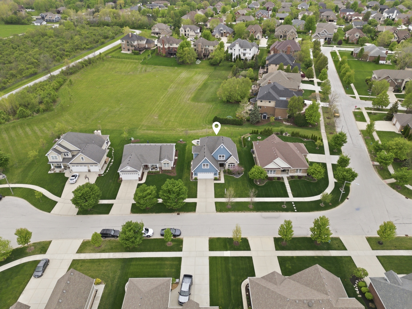 13042 Birch Path Court, Lemont, IL 60439