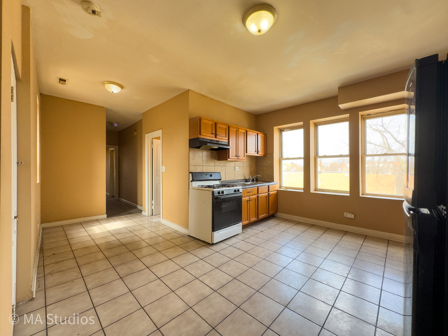 1313 S Karlov Avenue, Chicago, IL 60623