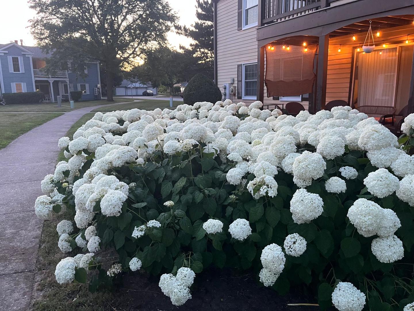 54 Plymouth Court #102D, Naperville, IL 60565