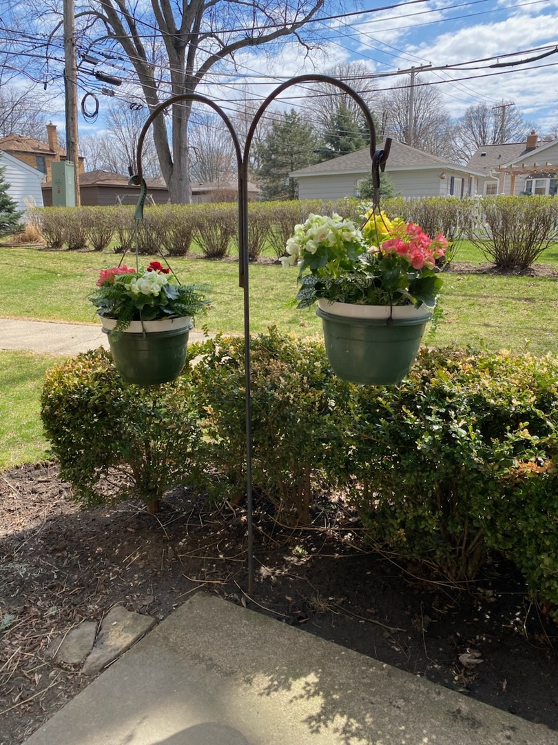 611 W Central Road #A4, Mount Prospect, IL 60056