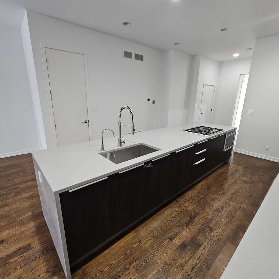 1013 N Honore Street #1, Chicago, IL 60622