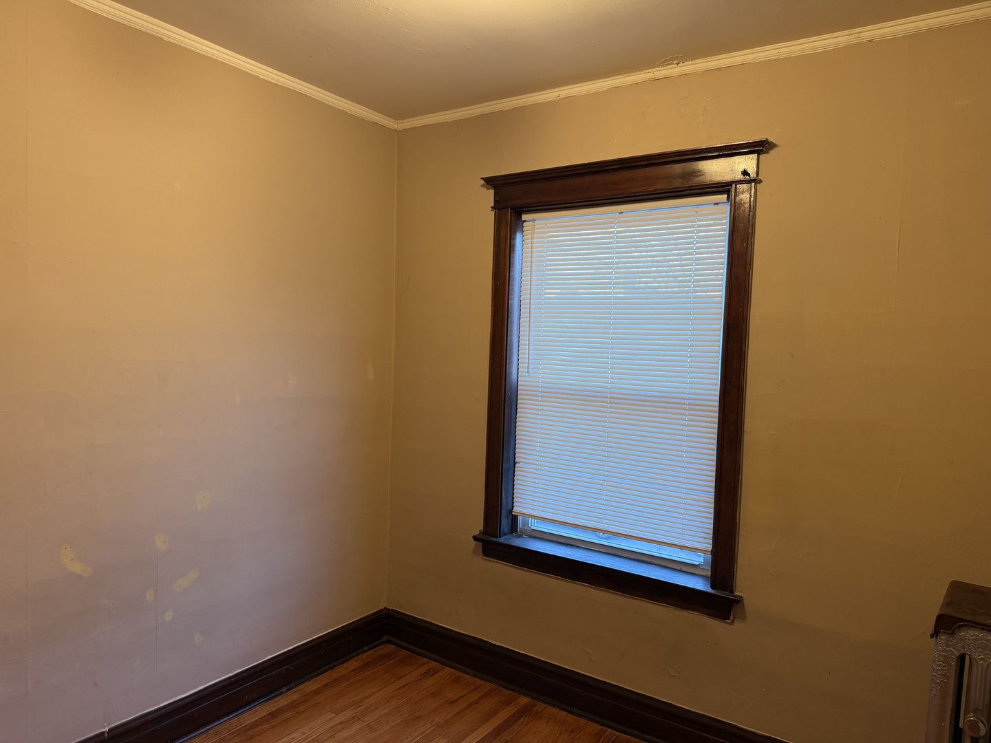 7120 S Eberhart Avenue, Chicago, IL 60619