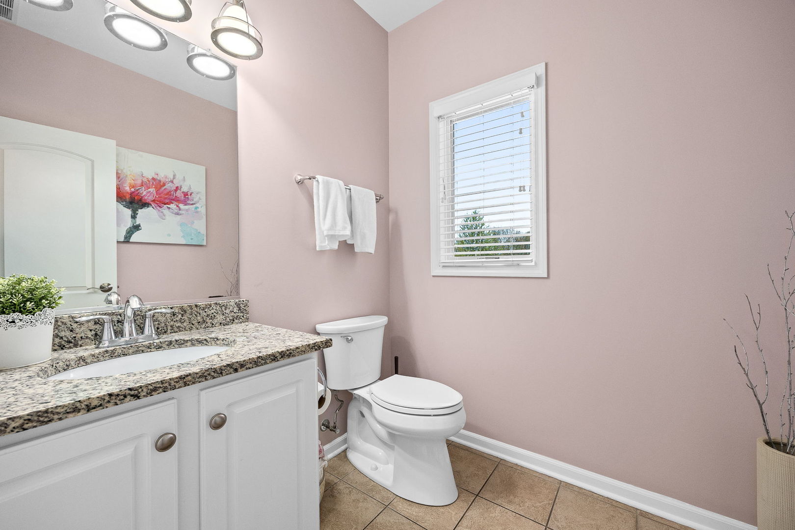 8724 Coventry Drive, Woodridge, IL 60517