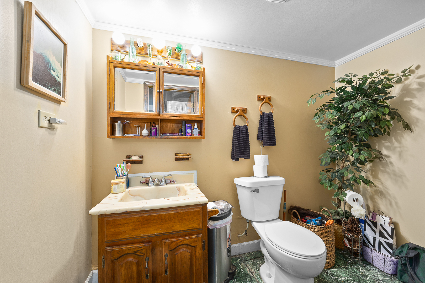 213 Windsor Drive, Bolingbrook, IL 60440