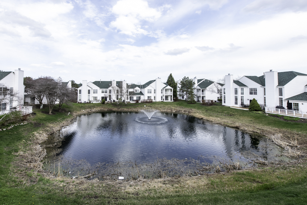 107 Templeton Street, Lake Bluff, IL 60044