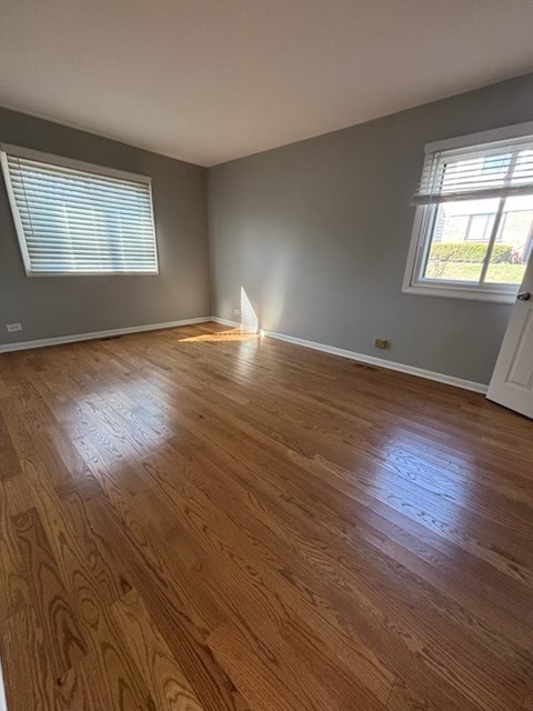 Schaumburg, IL 60193