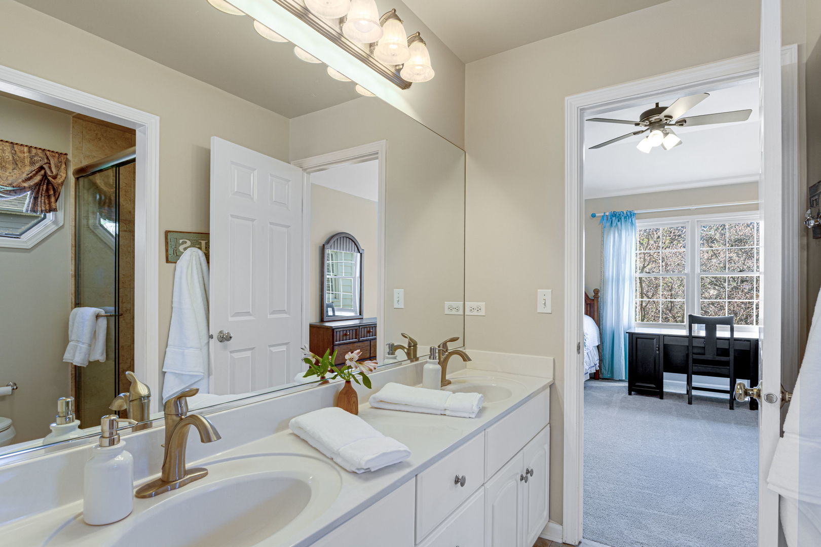 4224 Colton Circle, Naperville, IL 60564