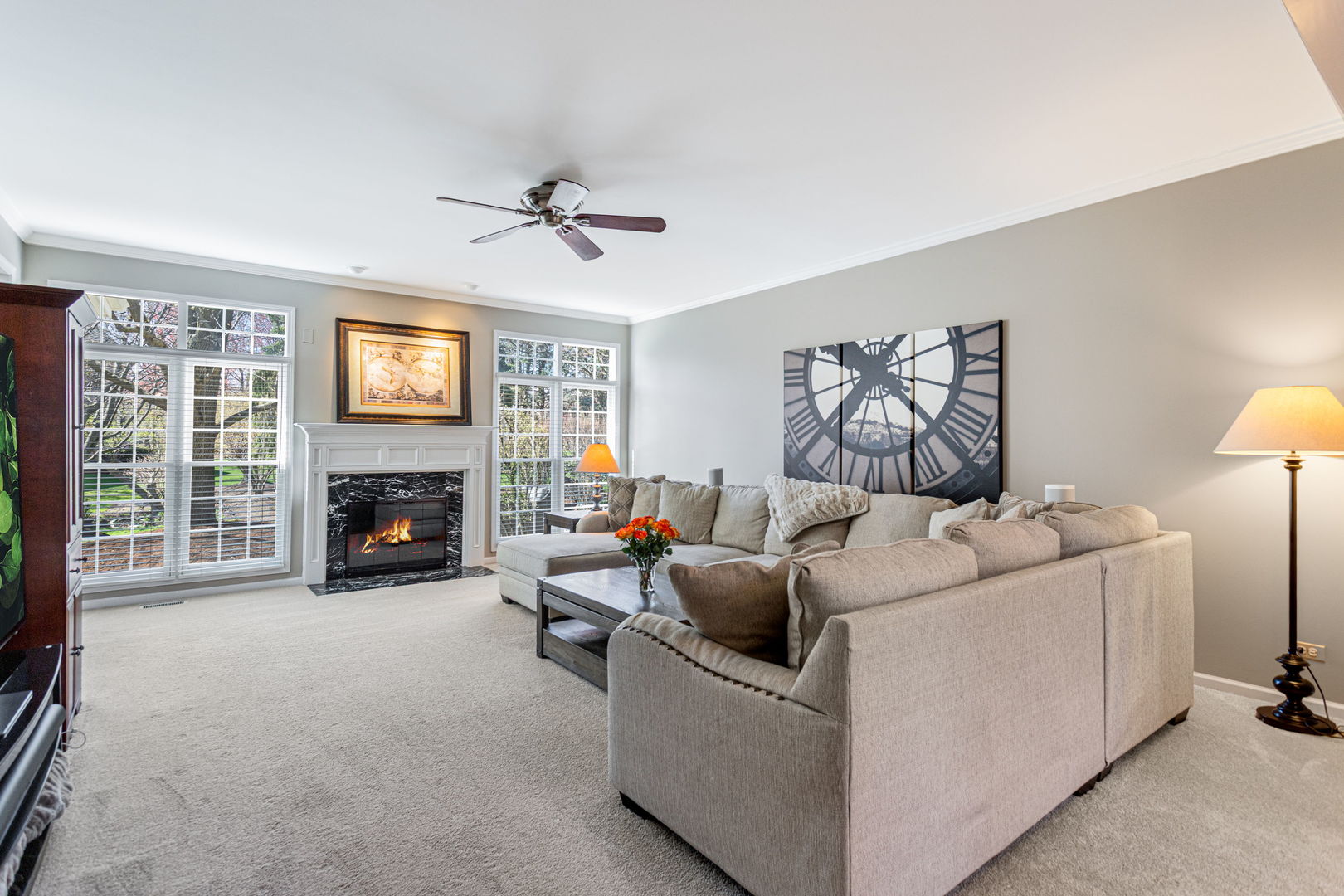 4224 Colton Circle, Naperville, IL 60564