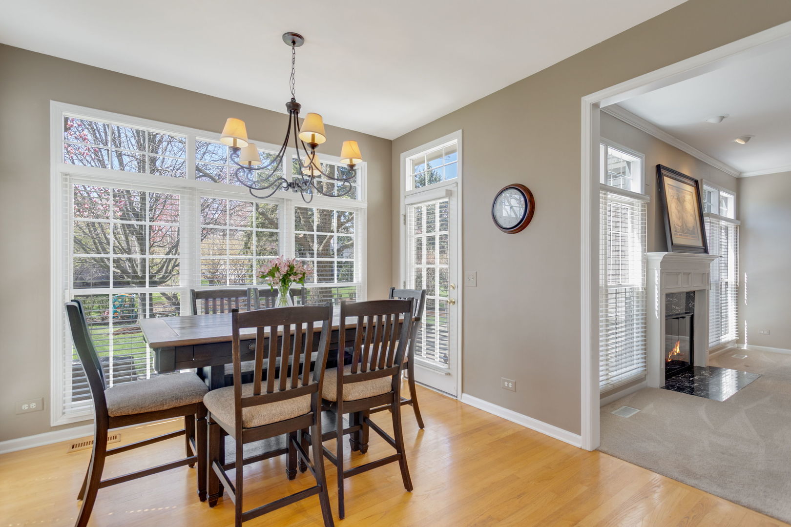 4224 Colton Circle, Naperville, IL 60564