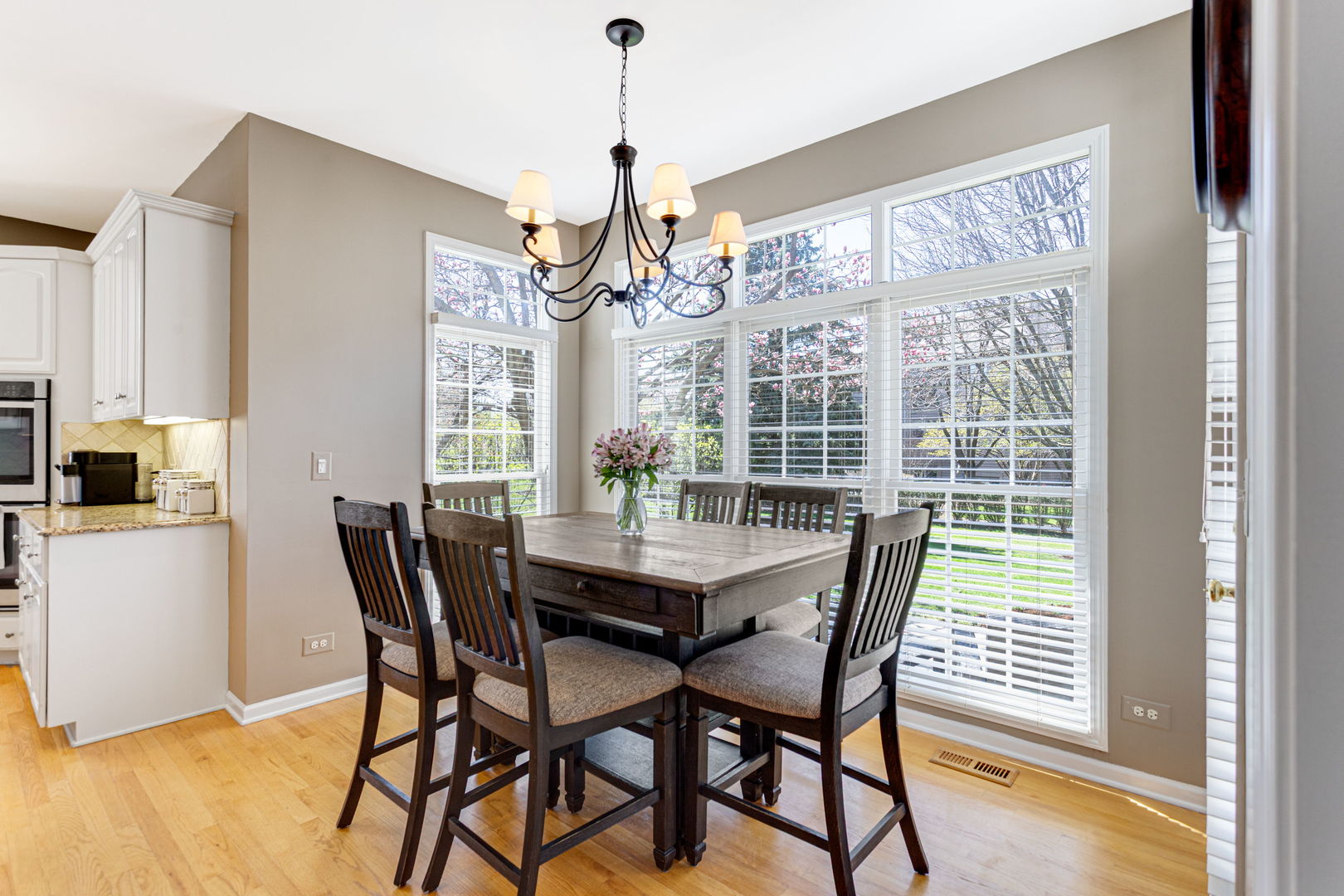 4224 Colton Circle, Naperville, IL 60564