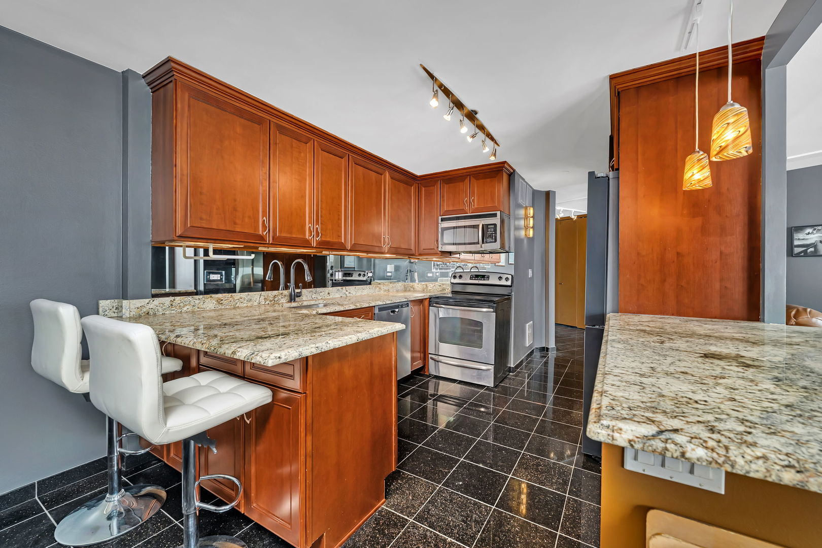 505 N Lake Shore Drive #2404, Chicago, IL 60611