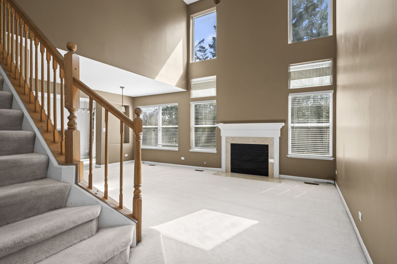 1165 Windham Lane #1165, Elk Grove Village, IL 60007