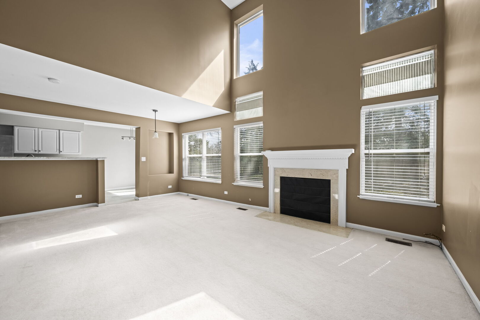 1165 Windham Lane #1165, Elk Grove Village, IL 60007