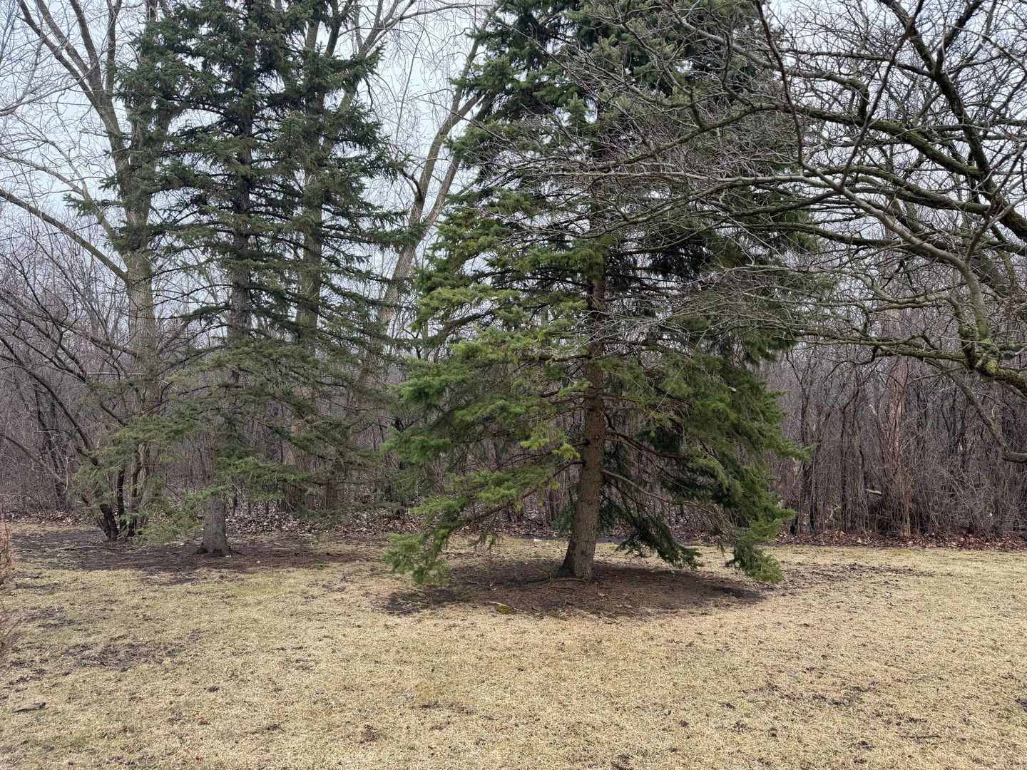 229 Shea Drive, Flossmoor, IL 60422