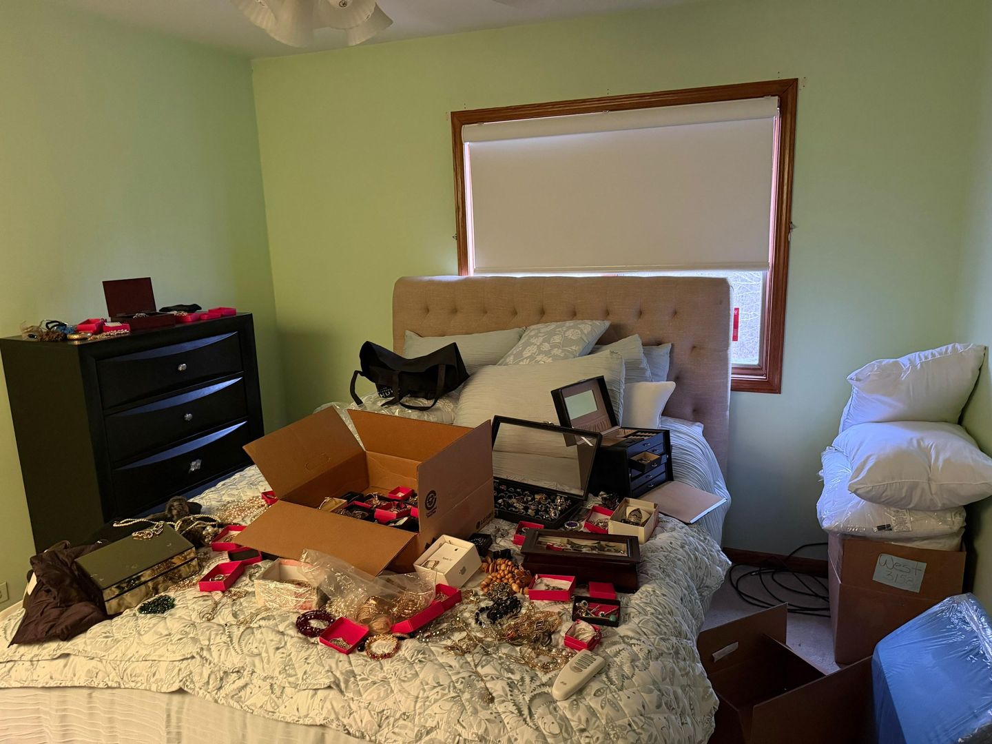 229 Shea Drive, Flossmoor, IL 60422