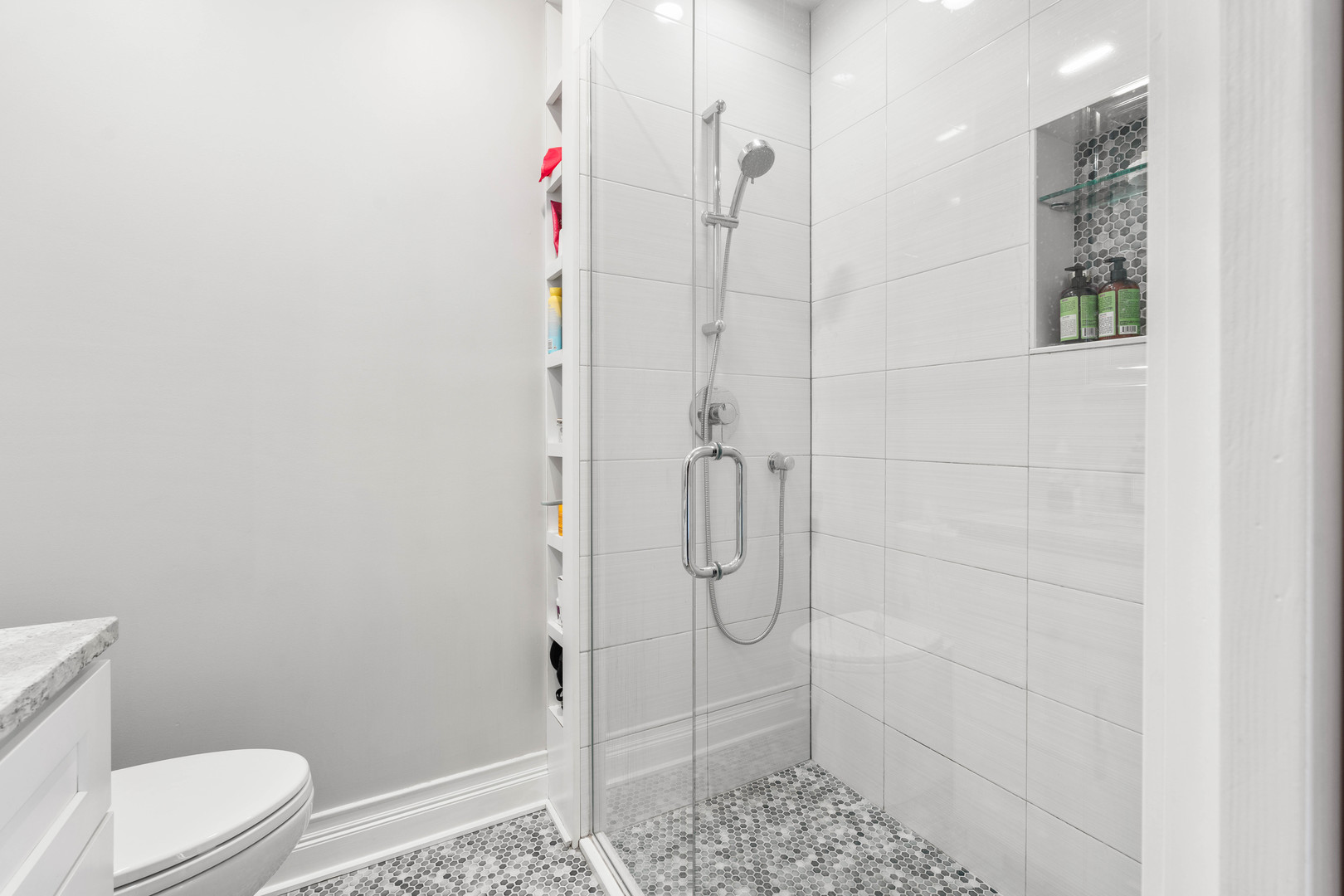 1337 Hiawatha Court, Highland Park, IL 60035