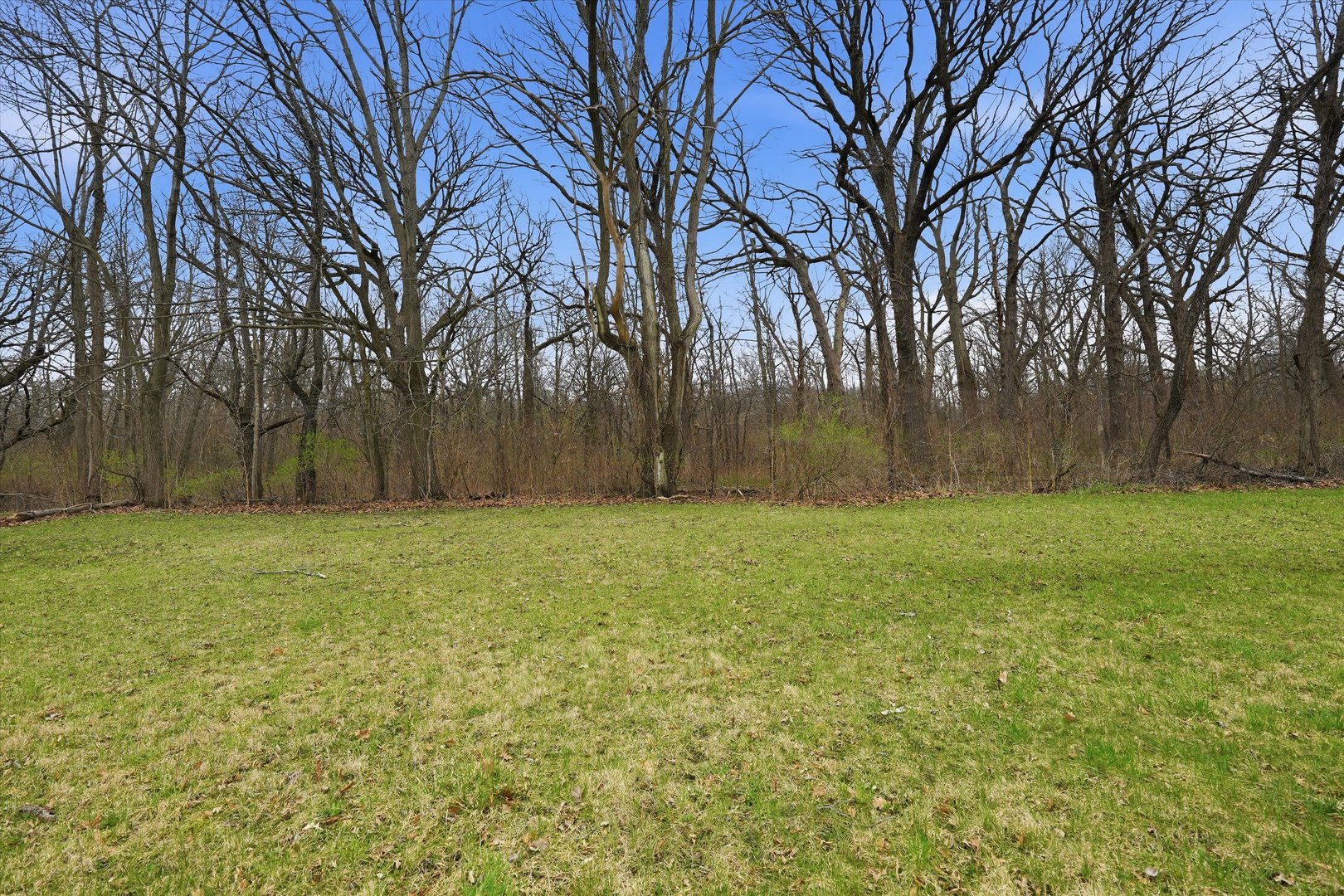 5525 Heatherbrook Trail, Monee, IL 60449