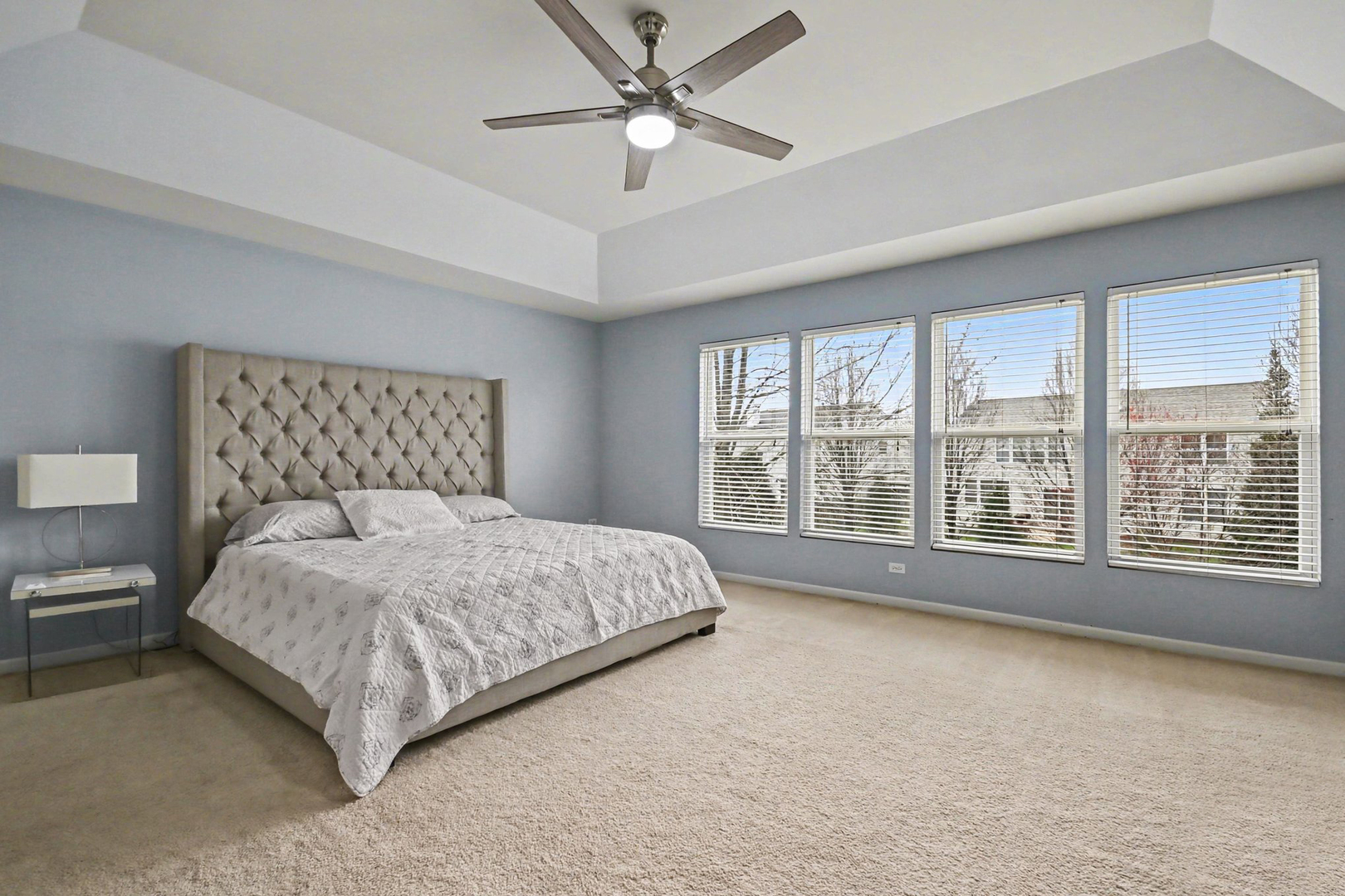 371 Sweet Gum Street, Bolingbrook, IL 60490