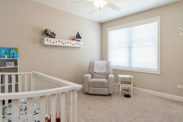 1236 N Webster Street, Naperville, IL 60563