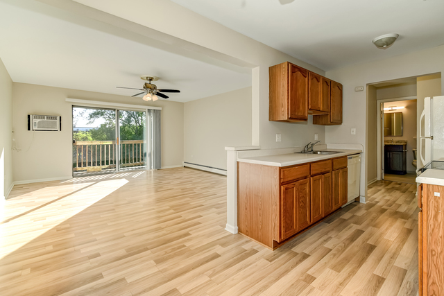 7413 Brookdale Drive #209, Darien, IL 60561