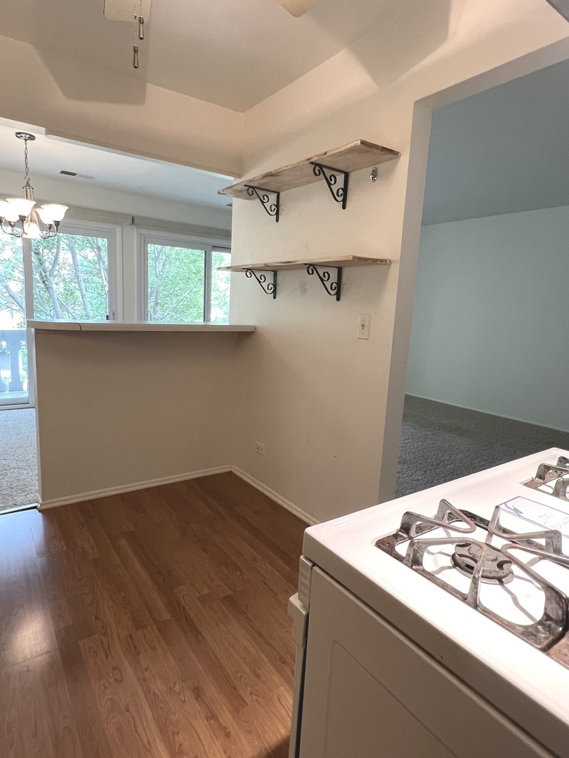 225 Deerpath Court #C2, Schaumburg, IL 60193