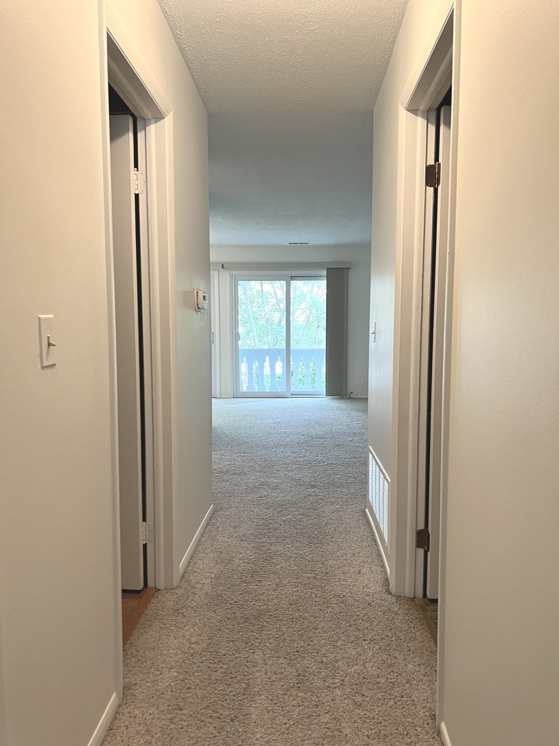 225 Deerpath Court #C2, Schaumburg, IL 60193