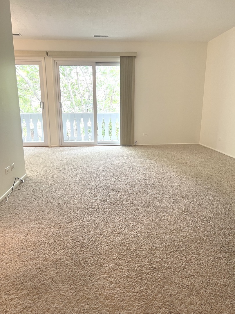 225 Deerpath Court #C2, Schaumburg, IL 60193