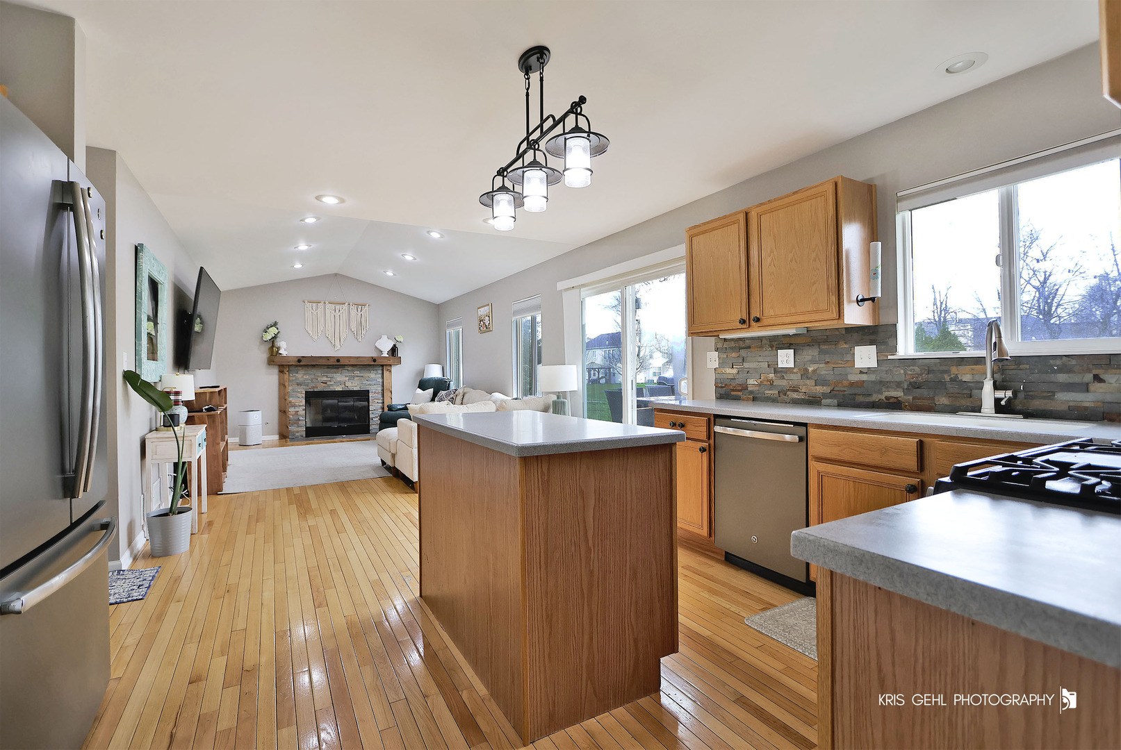 1407 S Janice Lane, Round Lake, IL 60073