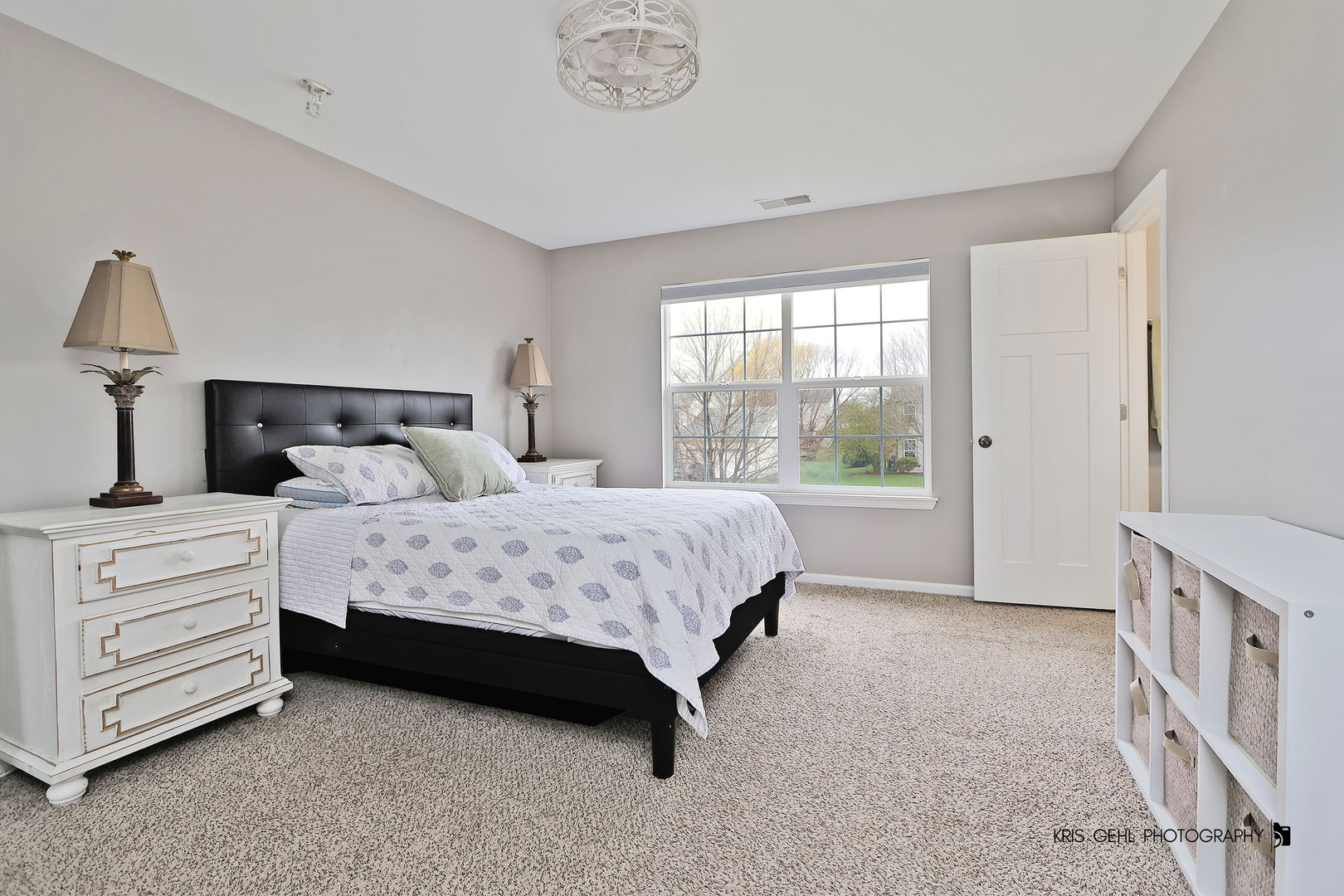 1407 S Janice Lane, Round Lake, IL 60073